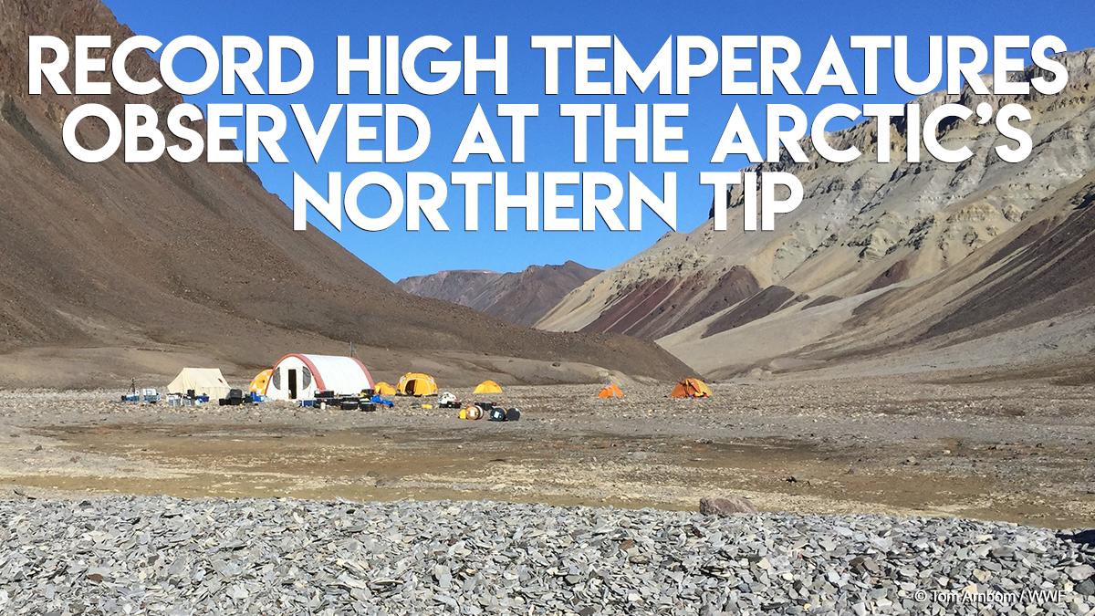 Record temperatures in Alert - the northernmost tip of Canada. For two days in a row it was warmer in the most northern permanently inhabited region on the planet than in Victoria, B.C. 🤔 bit.ly/32vdedu