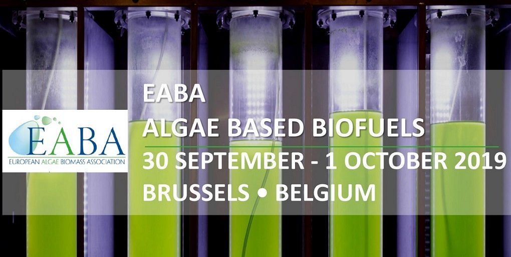 EABA (@eaba_algae) on Twitter photo Have you already registered? <a href="/EABA_Algae/">EABA</a> #ALGAE BASED #BIOFUELS #WORKSHOP 30Sep-01Oct2019 <a href="/MartinsHotels/">Martin's Hotels</a> #Brussels! Chair Dr. Ing. David Chiaramonti <a href="/ChiaramontiD/">David Chiaramonti</a> from <a href="/recordbioenergy/">RE-CORD - Bioenergy</a>. Let's meet us and discuss+! <a href="/Buildingonevent/">Christie de Vrij</a> <a href="/DLGBENELUX/">DLG BENELUX</a> #EABA #algae algaeworkshops.org/algae-based-bi… Have you already registered? <a href="/EABA_Algae/">EABA</a> #ALGAE BASED #BIOFUELS #WORKSHOP 30Sep-01Oct2019 <a href="/MartinsHotels/">Martin's Hotels</a> #Brussels! Chair Dr. Ing. David Chiaramonti <a href="/ChiaramontiD/">David Chiaramonti</a> from <a href="/recordbioenergy/">RE-CORD - Bioenergy</a>. Let's meet us and discuss+! <a href="/Buildingonevent/">Christie de Vrij</a> <a href="/DLGBENELUX/">DLG BENELUX</a> #EABA #algae algaeworkshops.org/algae-based-bi…
