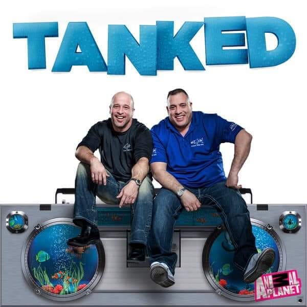 RMBRFairgrounds's tweet photo. See the cast from "TANKED" at the H.E.R.P.S. Exotic Reptile and Pet Shows! - https://t.co/4jj8Nx7hR6
#rmbfairgrounds #gotorobstown #tanked #herpshow #HERPS https://t.co/VXioODS8ib