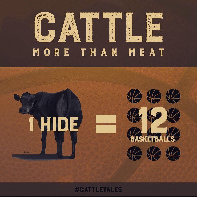 No beef, no basketballs!