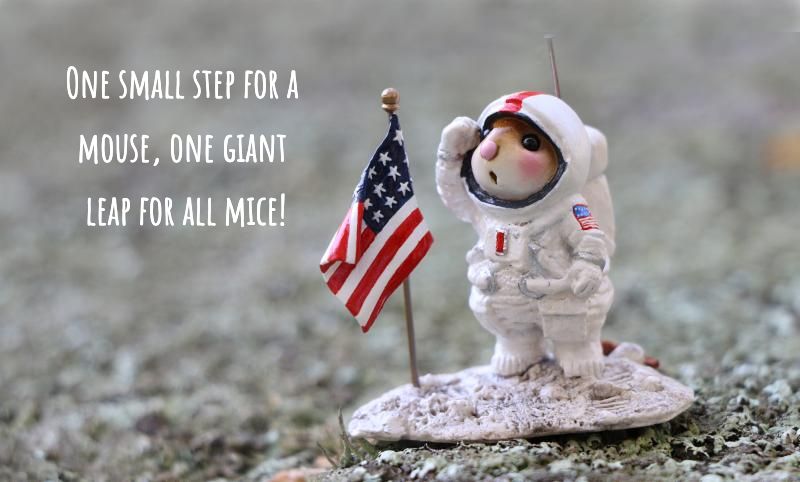 weeforestfolk's tweet photo. Lift off! Happy 50th Anniversary to #Apollo11 and @NASA on the Moon Landing! #mouse #moonwalk @Apollo50th #50thanniversary #moonlanding #liftoff #handmade #mouse #miniatures #🐭 #🇺🇸#madeinusa https://t.co/hRVR7JhzNy