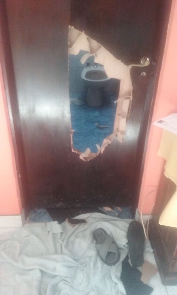 Delos⚡ tweet media