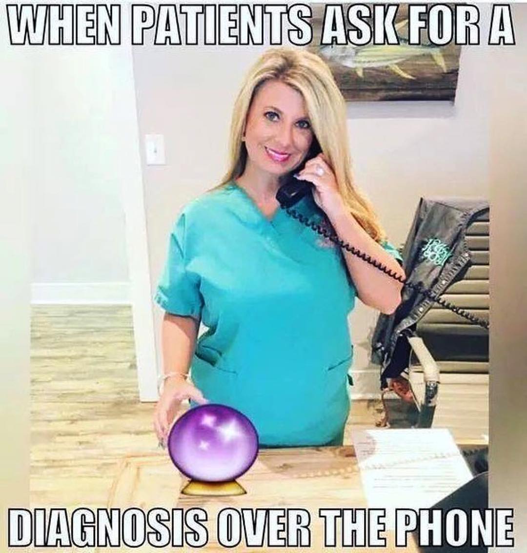 Dentist Bunny (@dentistbunny) on Twitter photo 