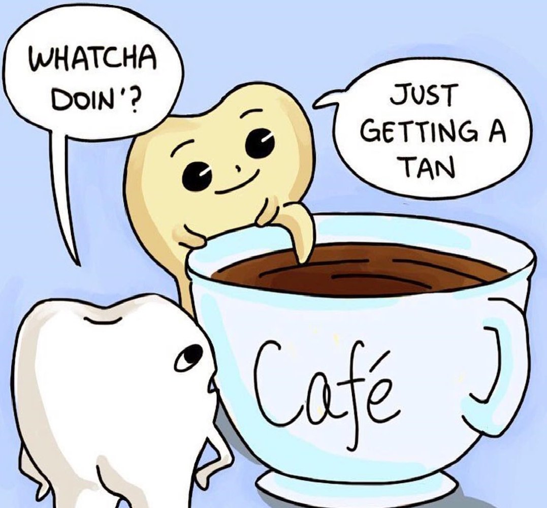 Dentist Bunny (@dentistbunny) on Twitter photo 