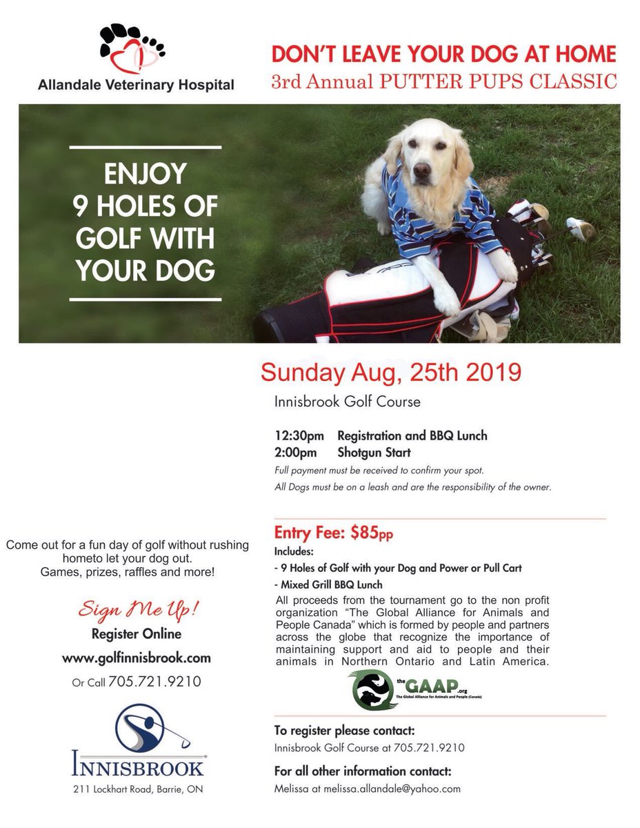 AllandaleVets's tweet photo. Come and join us on August 25 for our 3rd annual golf tournament! Bring your dogs and your best golf game ⛳️ All proceeds will go to the GAAP charity https://t.co/yIlfuBXqFj