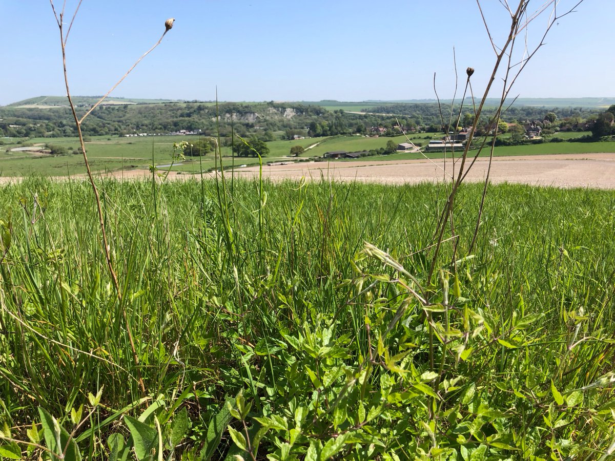 cstonewalking's tweet photo. BMC walk taking place this Saturday (20/07) in South Downs National Park starting at 10am from Amberley Rail Station. 13 mile circular walk via Arundel including a litter pick along the River Arun. Full details: https://t.co/28tu5ju7Fd #hills2oceans @Team_BMC @BMC_Walk @sdnpa https://t.co/G94CxLc7JR