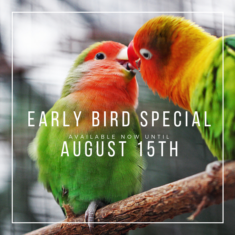 couplesnc's tweet photo. Calling all couples! Join us for our Fall couples retreat in Asheville, NC from November 15-17. Grab the early bird special at https://t.co/Fa2GQ9Ob6S https://t.co/zJvzJHZhtg