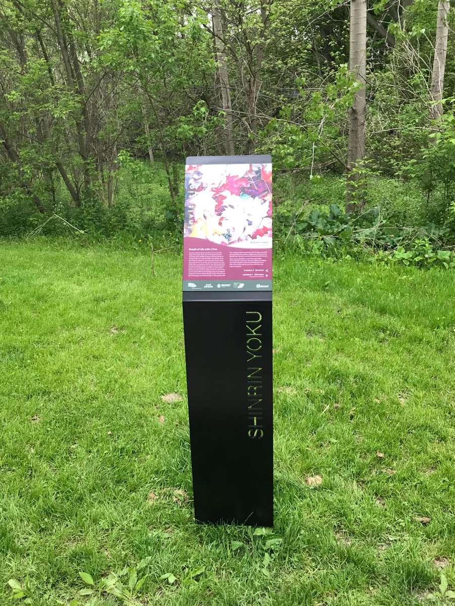 ForwardSign's tweet image. When you hike in Shinrin Yoku Interpretive Trail @cityofmarkham, do you notice those cool signages made by @ForwardSign?