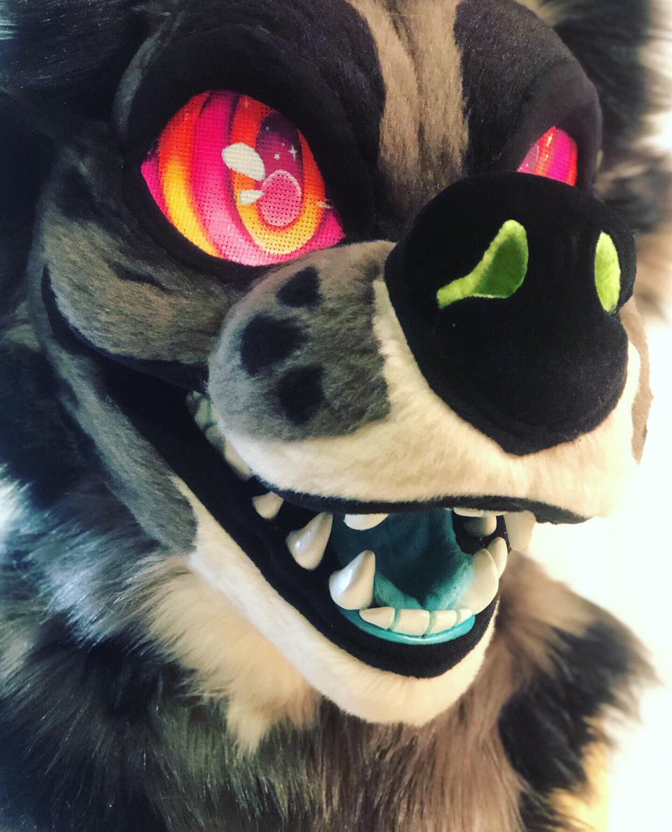 RancidRampage's tweet image. ✨🦖✨
Chomp the Dino Dog for @dinodogchomp !!
He has UV reactive fur and eyes, dry-brushed face details, and a totally pickable nose 🤩