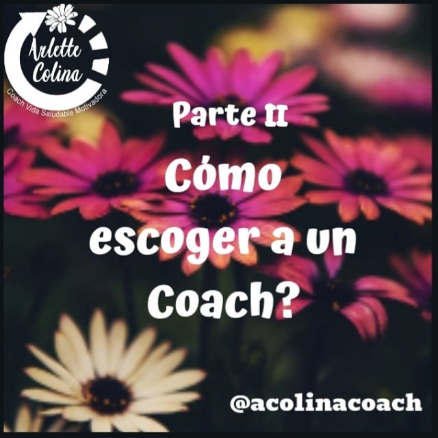 arletteyariht's tweet photo. Léeme en Instagram y entérare de 6 #tips para escoger un Coach.
https://t.co/l0RXCldNvi https://t.co/k2yOHKatlQ