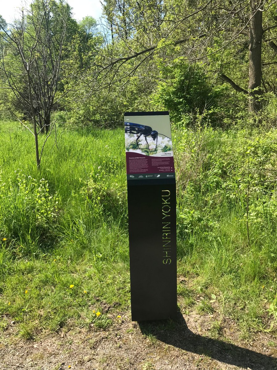 ForwardSign's tweet image. When you hike in Shinrin Yoku Interpretive Trail @cityofmarkham, do you notice those cool signages made by @ForwardSign?