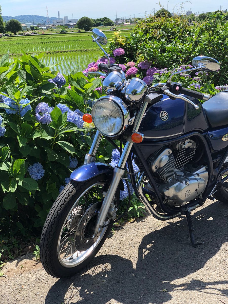 難波祐香 バイク声優 名前 難波祐香 性別 女 身長 160 住み 横浜 車種 Yamaha Srv250 好き レース観戦 お芝居 歌 怪盗キッド 猫 鶴 嫌い サメ ヘビ 飛行機に乗る 一言 バイクイベントでのmcや声優として活動中 バイク乗りとして軽く自己紹介 バイク 難波祐香 バイク声優 名前 難波祐香 性別 女 身長 160 住み 横浜 車種 Yamaha Srv250 好き レース観戦 お芝居 歌 怪盗キッド 猫 鶴 嫌い サメ ヘビ 飛行機に乗る 一言 バイクイベントでのmcや声優として活動中 バイク乗りとして軽く自己紹介 バイク