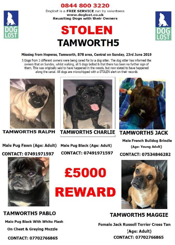Jo Jo (@joannew0112) on Twitter photo <a href="/NickyAACampbell/">Nicky Campbell</a> please share ๐
5 Dogs were being cared for by a dog sitter, who informed the owners that on 23 June whilst walking in the woods in Hopwas #Tamworth around 1pm all 5 dogs were #Lost now Police have confirmed #stolen
#Tamworth5
facebook.com/groups/1051397โฆ <a href="/NickyAACampbell/">Nicky Campbell</a> please share ๐
5 Dogs were being cared for by a dog sitter, who informed the owners that on 23 June whilst walking in the woods in Hopwas #Tamworth around 1pm all 5 dogs were #Lost now Police have confirmed #stolen
#Tamworth5
facebook.com/groups/1051397โฆ