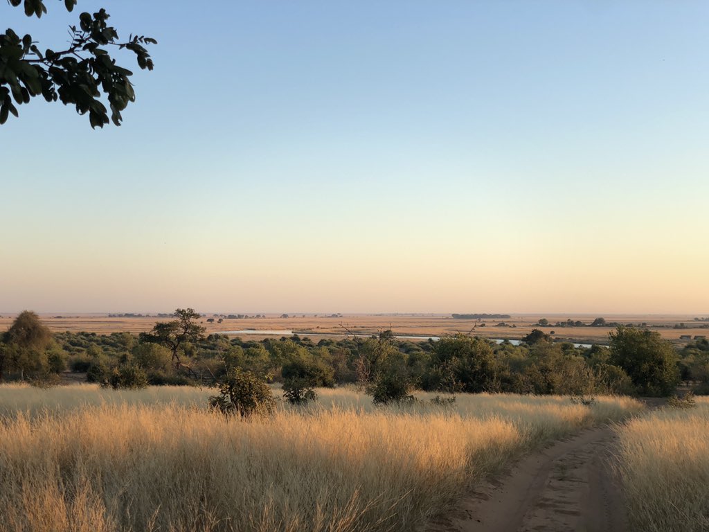A fantastic two days at Safari. Lots of excited faces and squeals to match! 🦁 🐘🦒🦓🐆🦛 🐃🐾 #MemoriesToNeverForget #Zambia2019