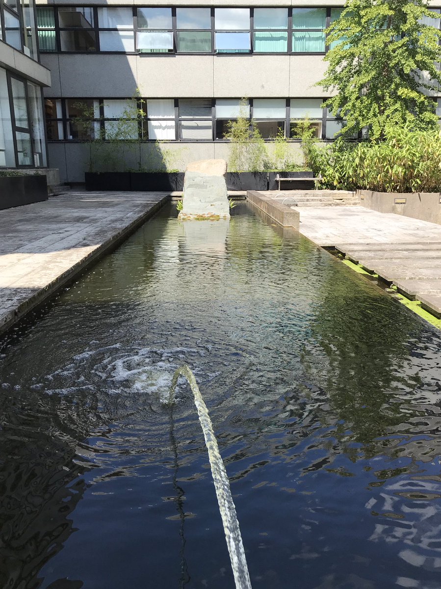 wendysotonlib's tweet photo. Shackleton building has a courtyard with benches, ponds &amp; fish. How did I not know this? #HiddenCampus #SunnySpot https://t.co/2Ztzrx7I0m