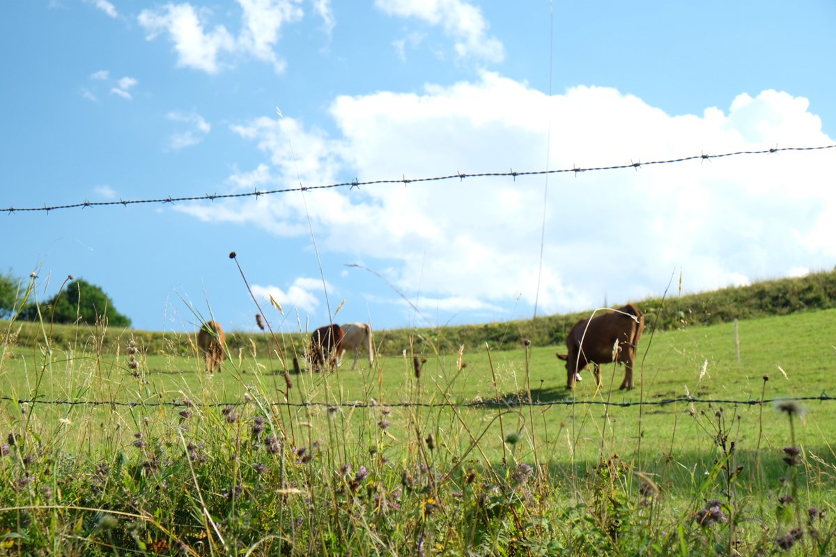 ☀️Une idée de programme pour les vacances ?
1️⃣ Profiter des richesses du territoire métropolitain
2️⃣ Déposer ses idées sur grenopolitains.fr pour construire dès aujourd'hui une #métropole +humaniste +écologiste et +solidaire !
#Grenoble #Grenopolitains