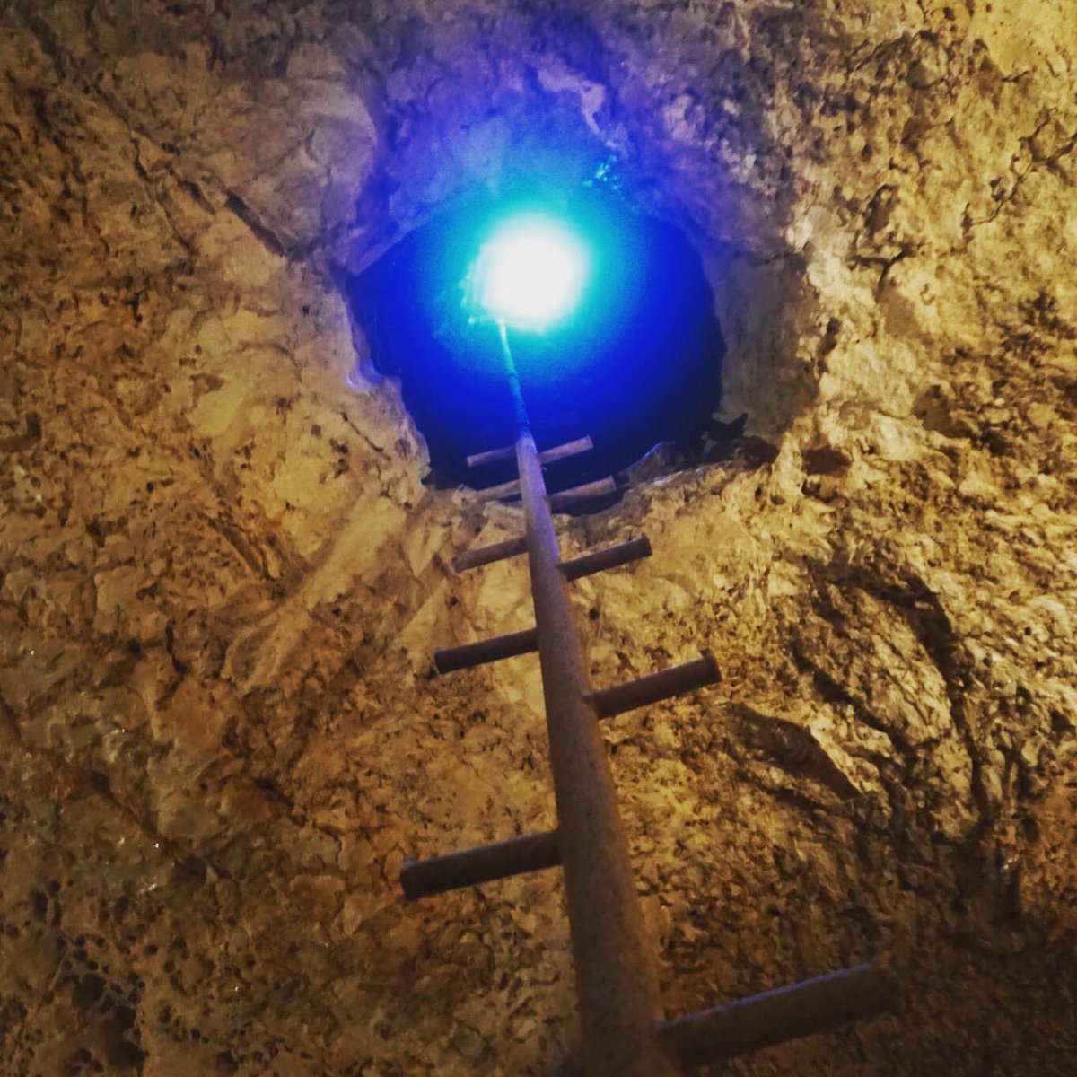 InnerSpaceCave's tweet image. Can you imagine transporting fossils or even concrete down this hole? Well, that's what the early discoverers of the cave had to do! They used this hole for ventilation, for paving down the pathway in our cave, and to transport fossils out of the cave! The more you know!