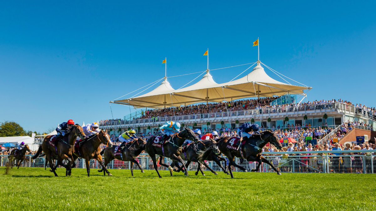 RacingBreaks.com (@racingbreaks) on Twitter photo It’s our BIGGEST giveaway to date courtesy of <a href="/Goodwood_Races/">Goodwood Racecourse</a>!
WIN 2 x Hospitality Tickets to 'Glorious with Tom Kerridge' on Fri 2nd August!
🤯 Prize worth £1600!
To enter:
🔁 RT post
✅ FOLLOW <a href="/Goodwood_Races/">Goodwood Racecourse</a> & <a href="/RacingBreaks/">RacingBreaks.com</a>
✍️ TAG who you would take!
Comp ends 23/07/19 It’s our BIGGEST giveaway to date courtesy of <a href="/Goodwood_Races/">Goodwood Racecourse</a>!
WIN 2 x Hospitality Tickets to 'Glorious with Tom Kerridge' on Fri 2nd August!
🤯 Prize worth £1600!
To enter:
🔁 RT post
✅ FOLLOW <a href="/Goodwood_Races/">Goodwood Racecourse</a> & <a href="/RacingBreaks/">RacingBreaks.com</a>
✍️ TAG who you would take!
Comp ends 23/07/19