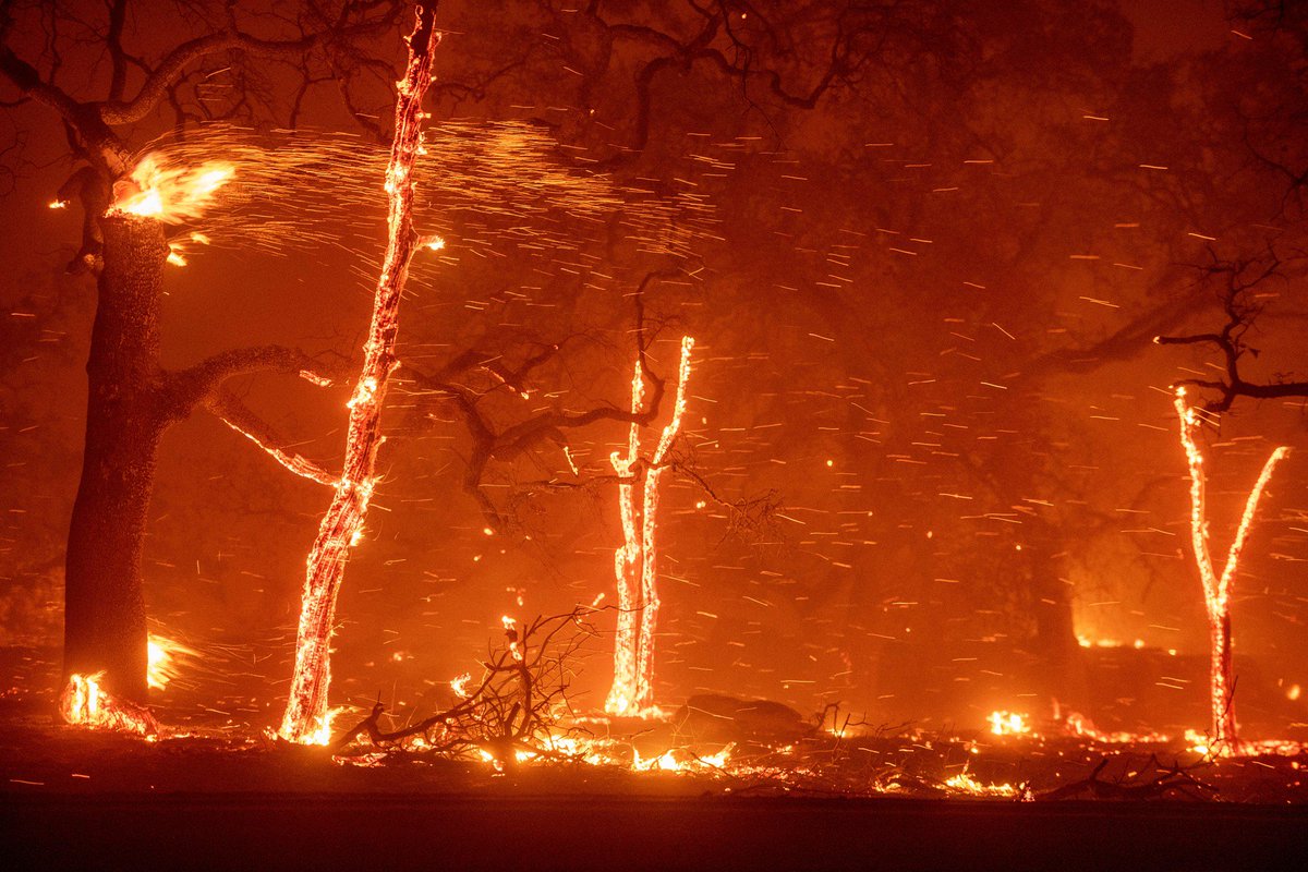 California’s Wildfires Are 500 Percent Larger Due To Climate Change: On a hot July evening last year, a rancher tried to use a hammer and stake to plug a wasp’s nest. The hammer slipped, a spark flew, and a patch of dry… claimspages.com/news/2019/07/1… #Catastrophe #Claims #Insurance
