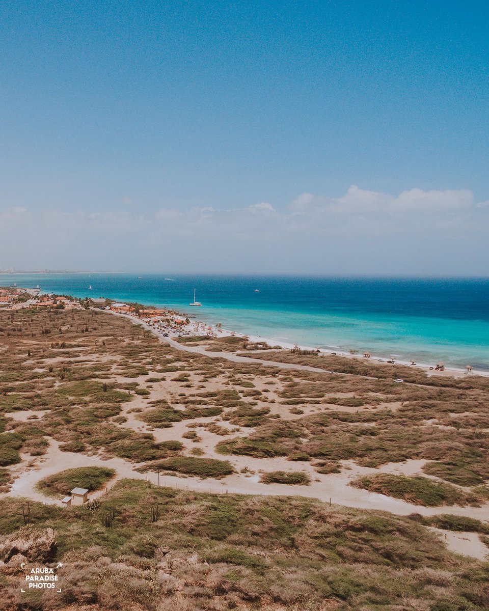 Do you know what beach you see in the distance?
#aruba #beach
___
All these photos are © copyrighted by Aruba Paradise Photos, if you are interested in one of many photos, you can contact me with a personal message.

#onehappyisland #island #caribbean #travel #nature