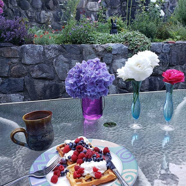 jknowlan's tweet photo. It's not because the roses are full of spiders that they stayed on the outdoor table overnight, nope. 😁 #breakfast #summerbounty #gardening https://t.co/wRxbVsxvqk https://t.co/w7Wheuy2e6