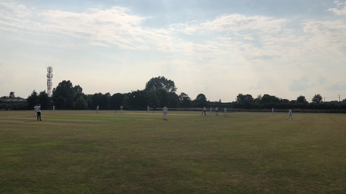 DuttonMoore's tweet image. #DMCricket #GotTheBug