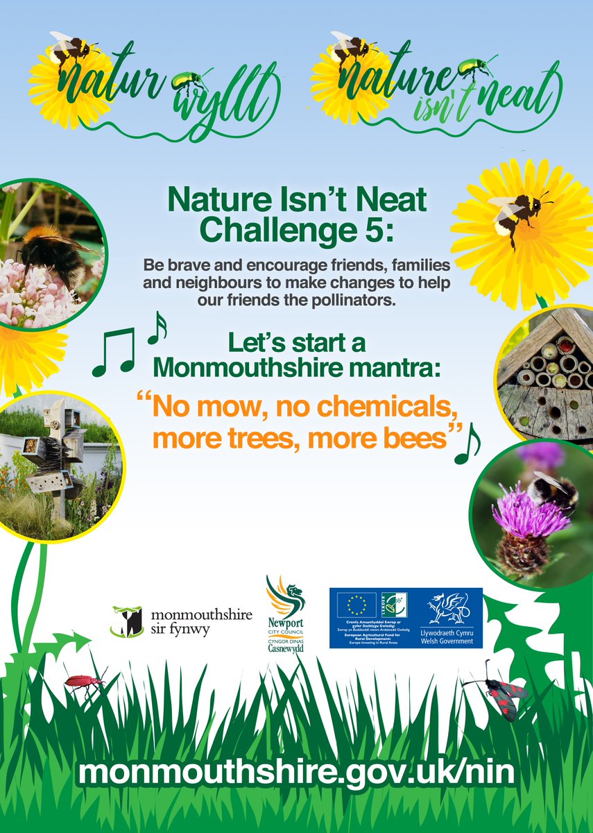 natureisntneat's tweet photo. Tell everyone you know they can help by making small changes, there is a power in small changes. If you like the mantra, send us a tune for it please @PlantlifeCymru @TransitionMonm1 @BeesForDev #pollinators #LGspace https://t.co/Hs9qw3kpXZ