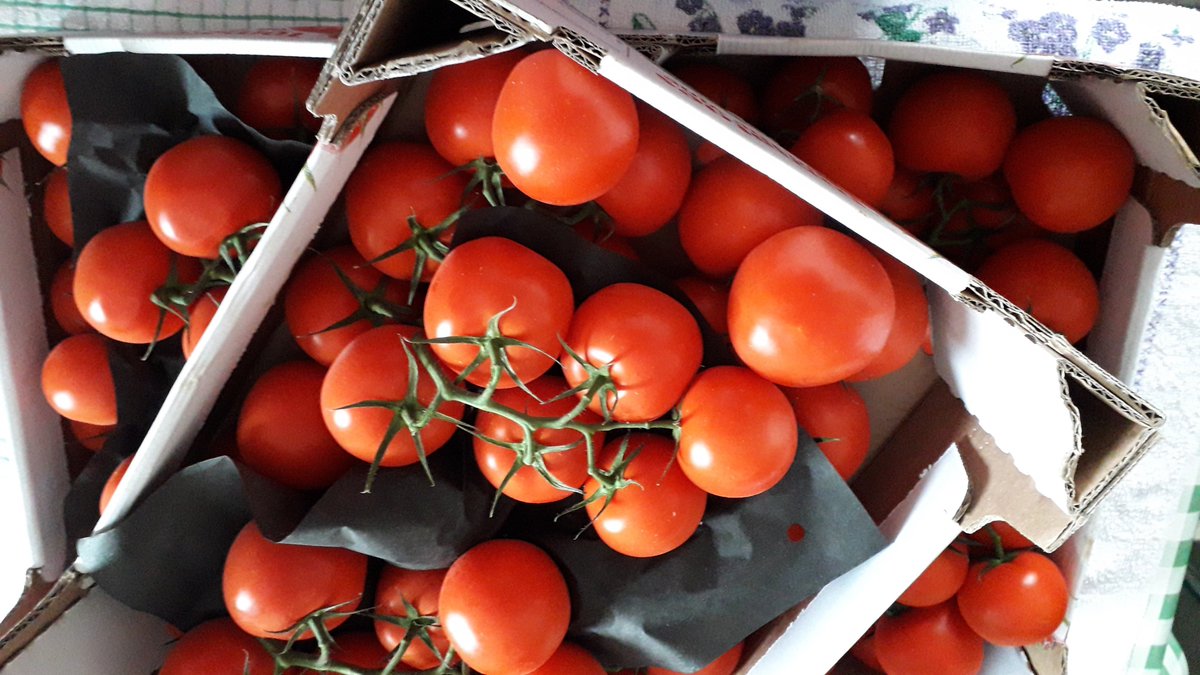 Yes - £15 for these beauties.  Our members loved them. And also the strawberries, apricots (from <a href="/FareShareUK/">FareShare</a> ), lemons, avocados, plums and oranges we had for them today. The kids really love the fruit. Come on @TrussellTrust it's time you thought of them