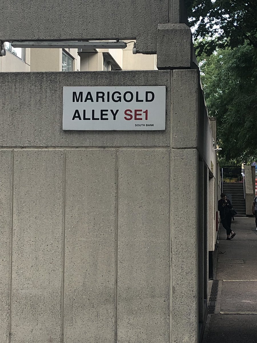 MichaelInfante4's tweet image. This is right by St Thomas’s Hospital- #ironic. #checkup