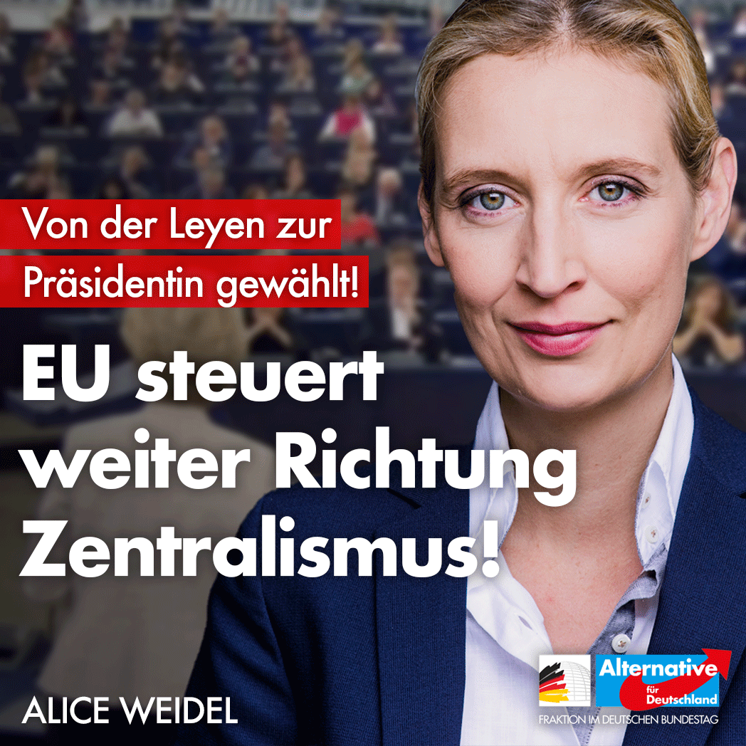 Alice Weidel tweet media