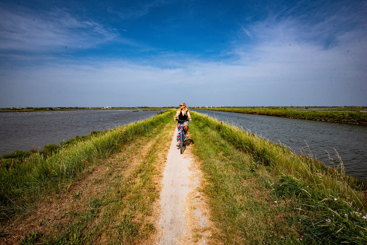 A3. Cycling to see wild flamingos in Ravenna in Italy recently was a highlight for me. #TRLT