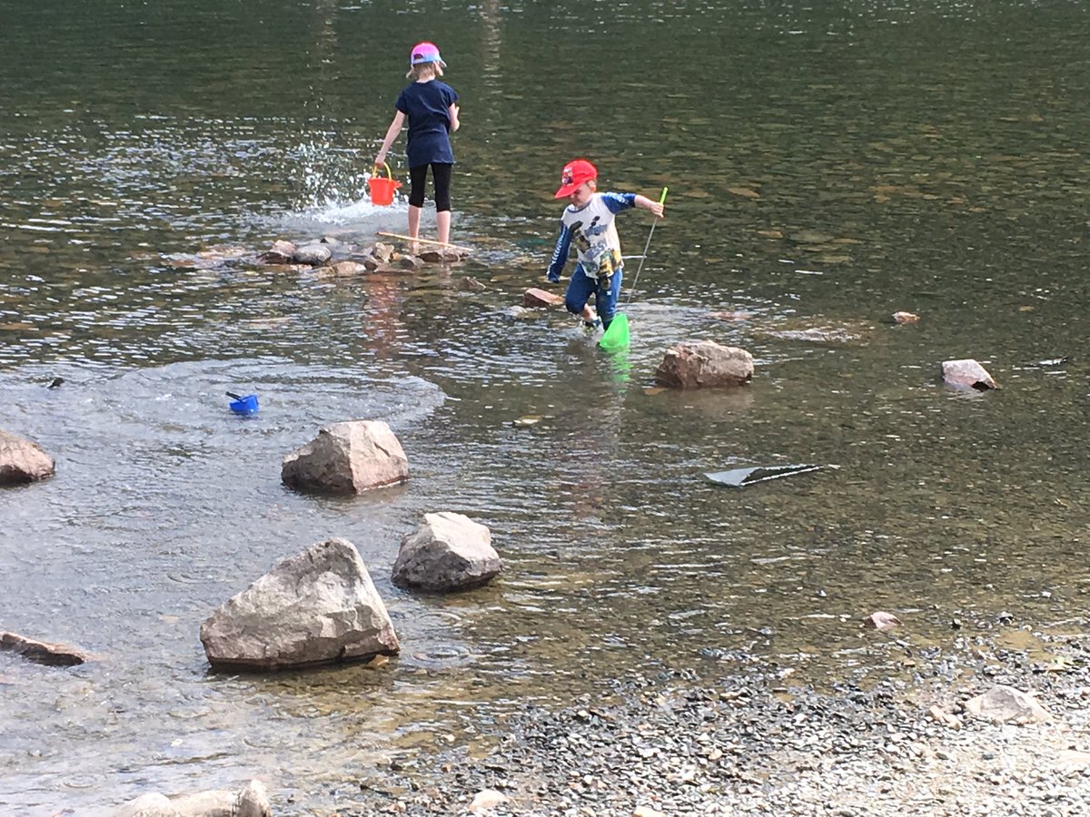 alison_fallens's tweet photo. Fun at Lake Buttermere #riskyplay #waterplay #beautifulsettings https://t.co/a03KOkeS2z