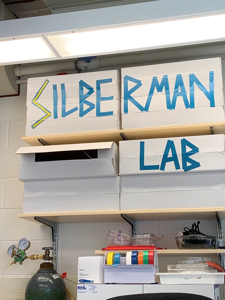 Silberman Lab tweet media