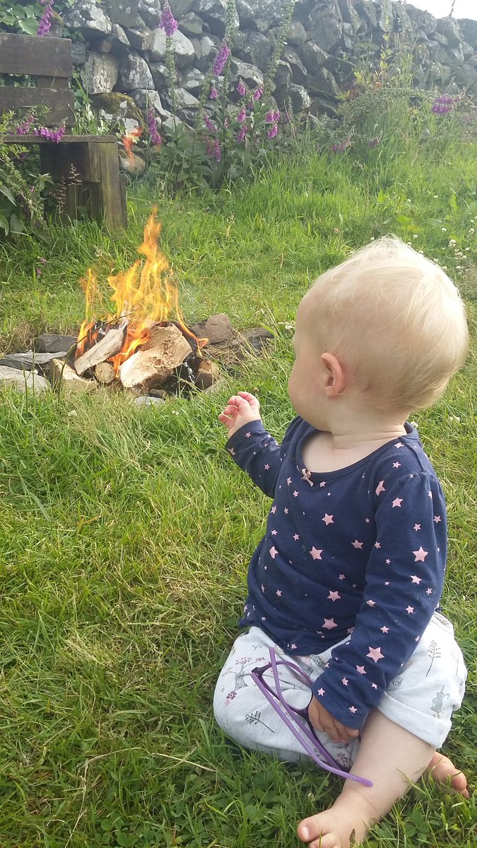 WildWildlings's tweet image. Balloch O Dee @gallowayforest great family get away. Kids, dogs, horses, chickens, ducks- what more could you need ...a few beers for tge mums 😂