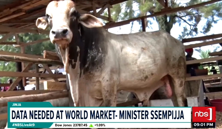 nbstv's tweet photo. The Ugandan government is preparing to register all animals and issue them with birth certificates. 
#NBSLiveAt9 #NBSUpdates https://t.co/EE5OfVqh9x
