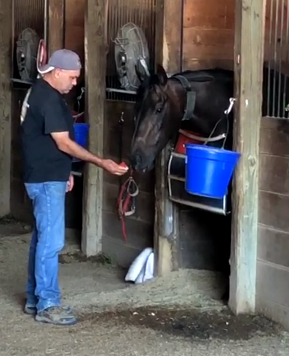 ToddJordanRacin's tweet photo. A shout out to all the excellent grooms out there! They are hard working individuals who often times go unnoticed. Our groom is one of BEST! #loveswatermelon #jordanracing #magnawavelove https://t.co/oeYEbyC33a