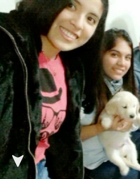 katia3001's tweet photo. Memories
#LittleGolden #goldenretriever https://t.co/v8w2njH76f