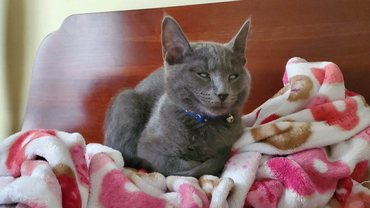 i have been po sessed by the Devil....!!!!!!!!!