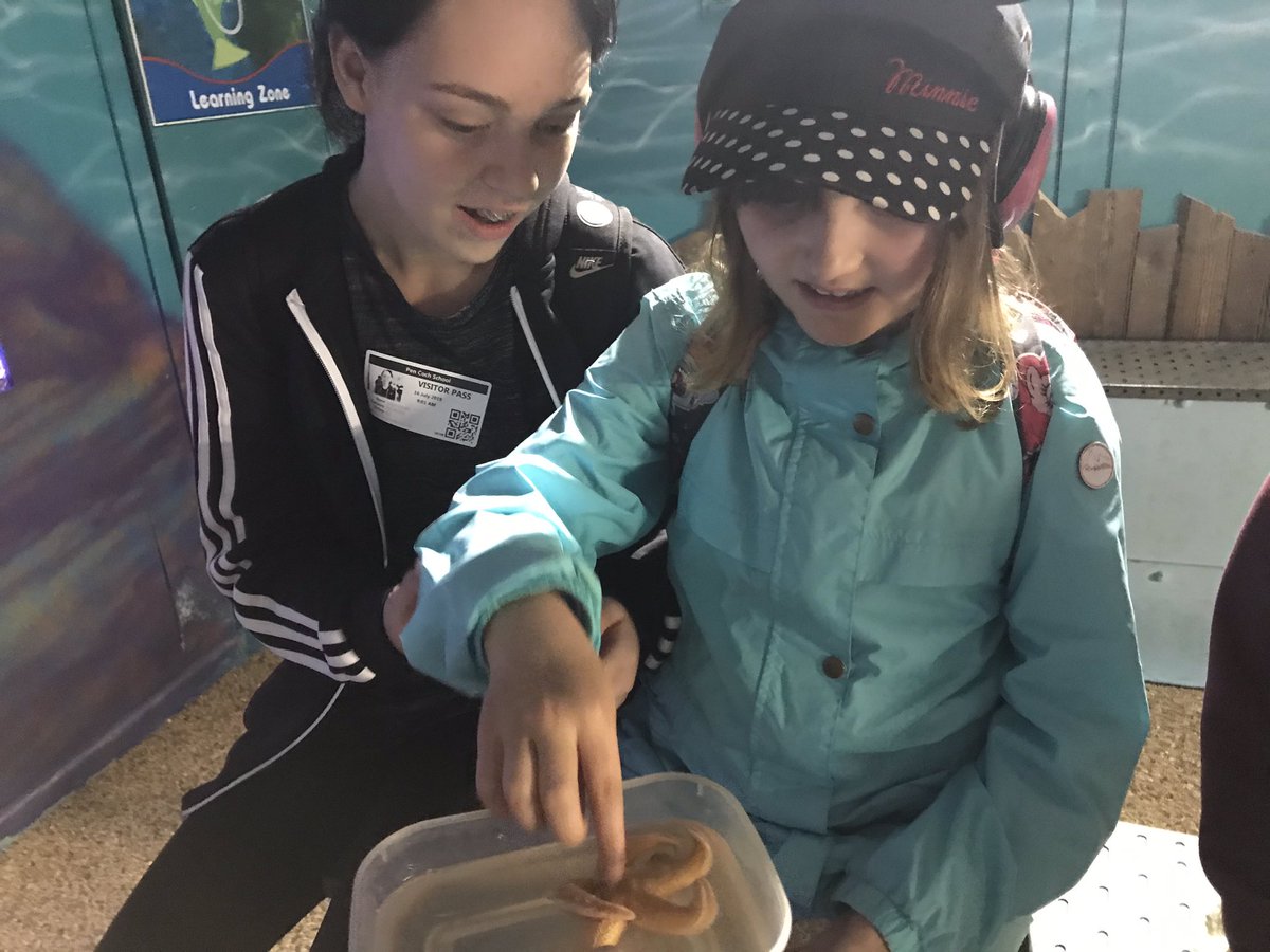 YsgolPenCoch's tweet photo. A wonderful time βunder the seaβ with #hawksclass. A big thanks to pupils and staff. https://t.co/m3WASoEhav