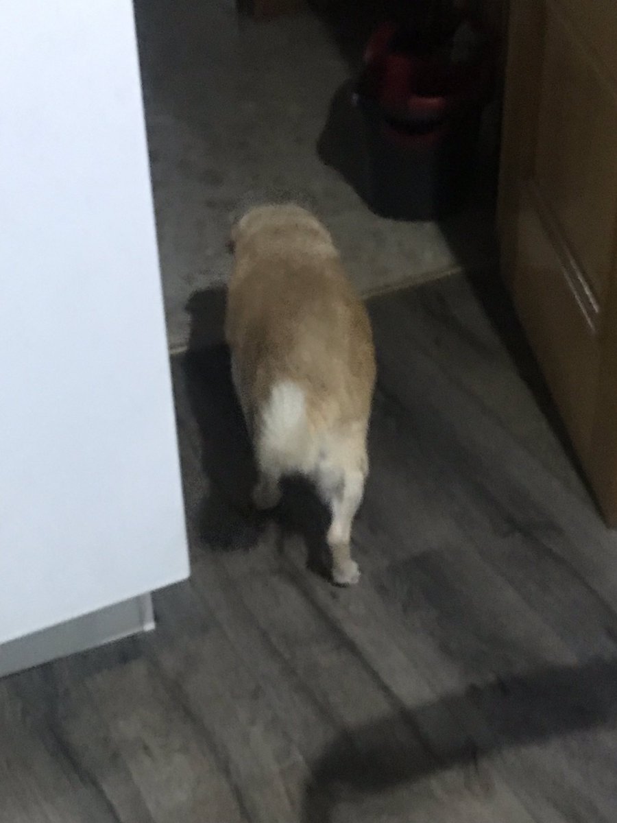 ᴡɪɴx ᴄʟᴜʙ sϙᴜᴀᴅ. (@xwinxclubsquad) on Twitter photo 