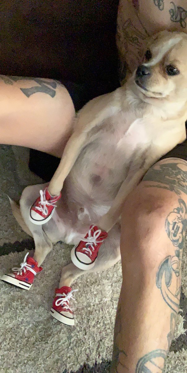 AcearmyJohnny's tweet image. Cutest boy ever