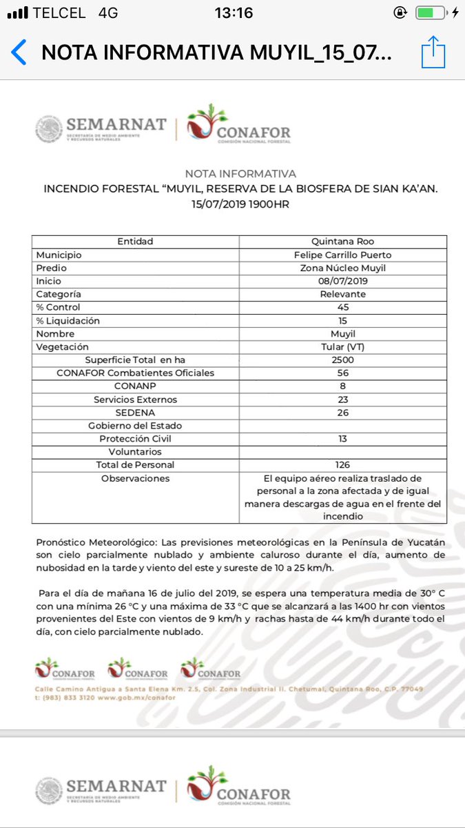 Información oficial del incendio en muyil