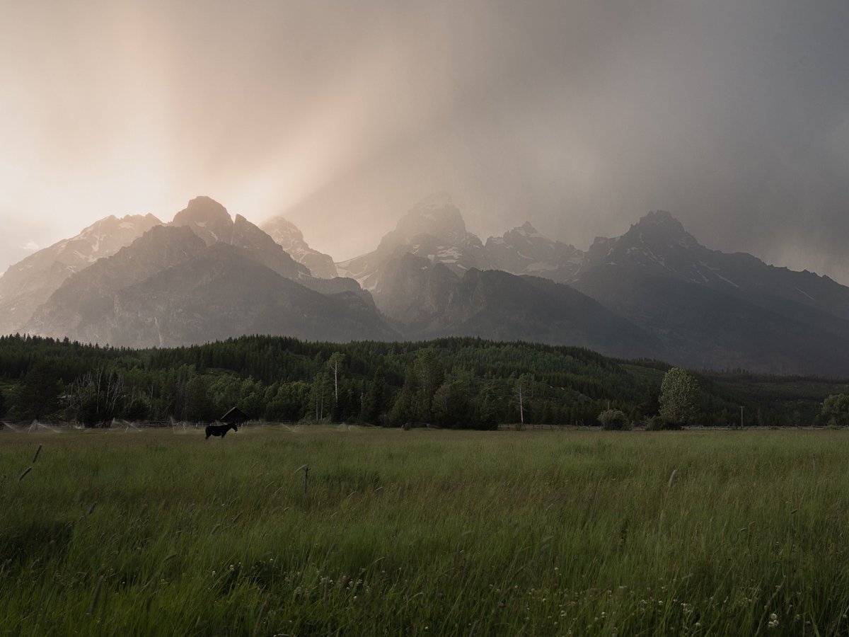 On our way out of <a href="/GrandTetonNPS/">Grand Teton National Park</a> I saw this epicness happen.