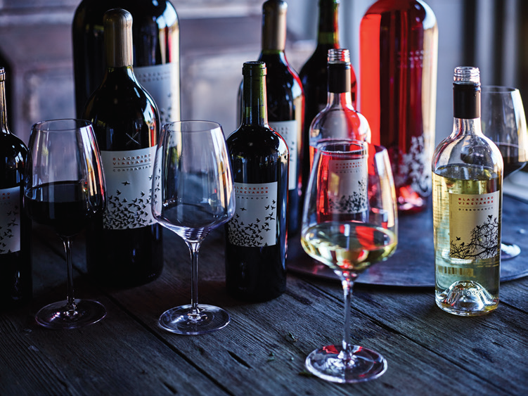 True North Golf Club tweet media