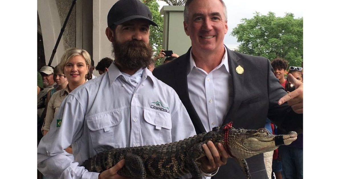 AVHndz's tweet image. by @mina_bloom_. Frank Robb, Chicago’s newest celebrity after breezing into town and catching #ChanceTheSnapper in a day, will throw the first pitch during tonight's @Cubs game at Wrigley Field. blockclubchicago.org/2019/07/16/all… via @BlockClubCHI