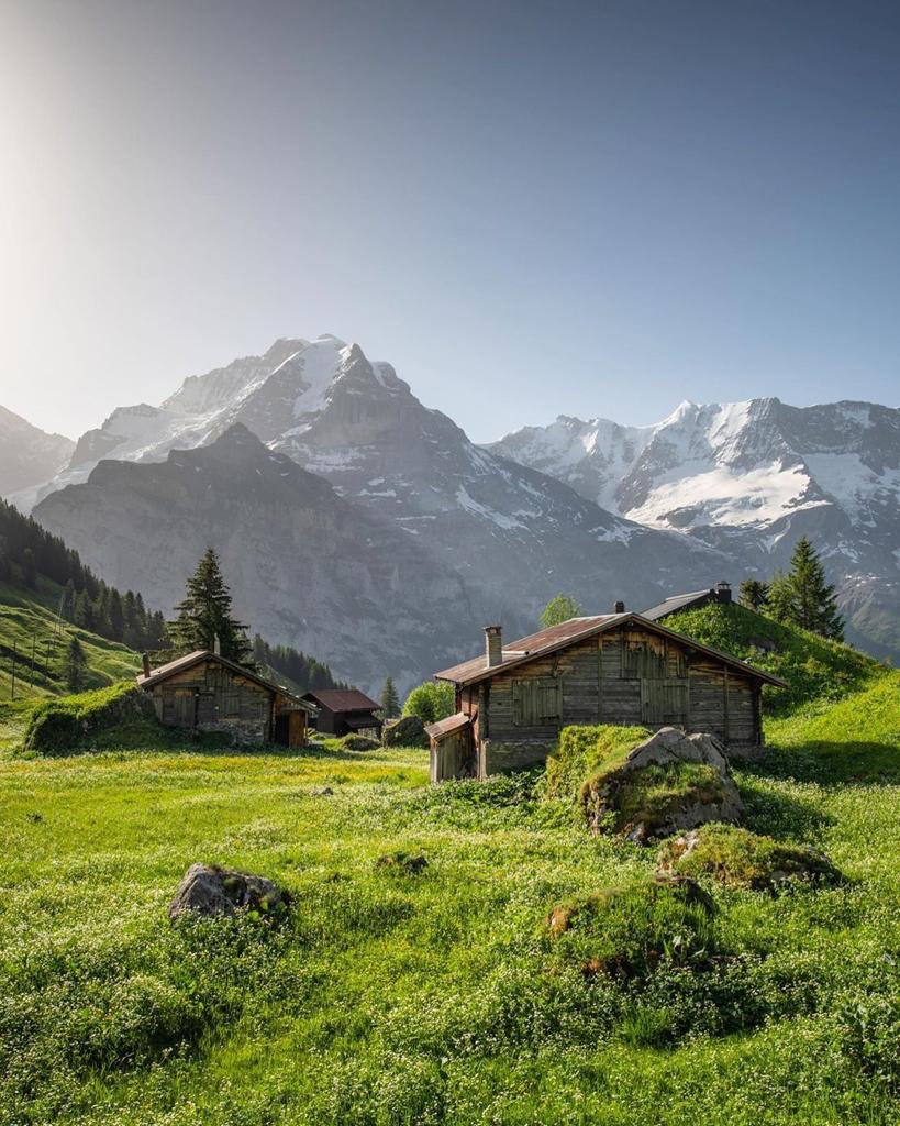 Hard to believe that this amazing place exists in real life😍🏔
#murren #schilthorn #eigermönchjungfrau #summer #adventure #hiking #village #mountains #swissalps #nature #switzerland #wanderlust #travel #landscape #path
📷 instagram.com/michelphotogra…
<a href="/JungfrauRegion/">Jungfrau Region</a> <a href="/MySwitzerland_d/">Schweiz Tourismus</a>