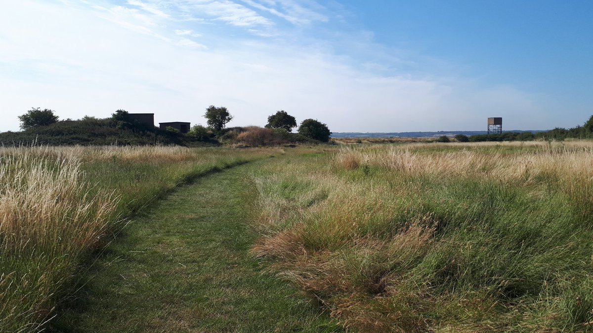 The start of a beautiful day <a href="/CoalhouseFortPk/">Coalhouse Fort Park</a> caught before 40 jolly Year 7s, 8s &amp; 9s arrived for their #WW1 day. A fun, full-on day teaching #History. My feet need a rest now though!