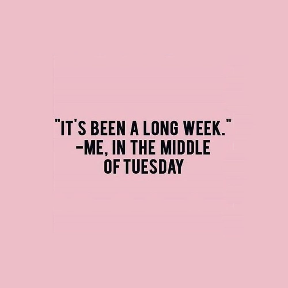 Arms_Acres's tweet photo. Ask me how my week is going. I'll tell you 😅
#tuesdayvibes #WorkHard https://t.co/jYMwz3M8yW