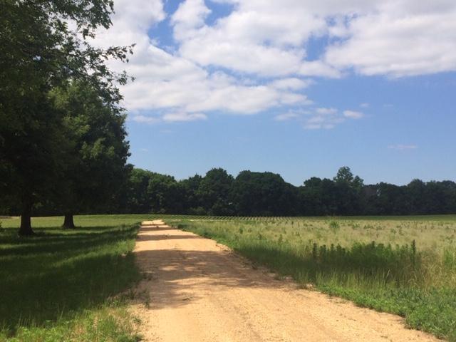 MandyGoHogs's tweet image. TRIBULATION… mygoodhisglory.com/2019/07/16/tri…