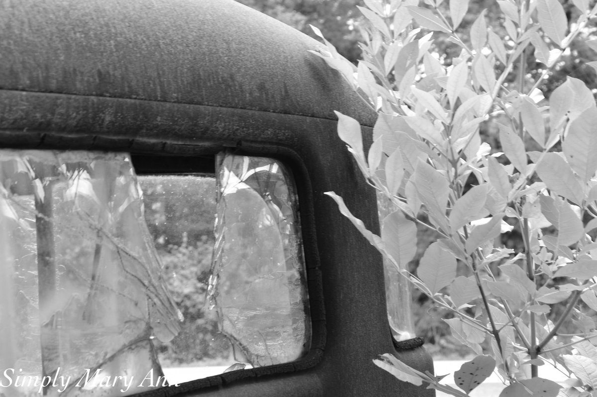 It’s in the details.  #oldcarsrule #brokenwindow #rusted #seenbetterdays #antiquetruck #abandonedtruck #dodge #blackandwhitephotography #femaleshutterbugs #simplymaryann #blogger #photoblogger #photooftheday